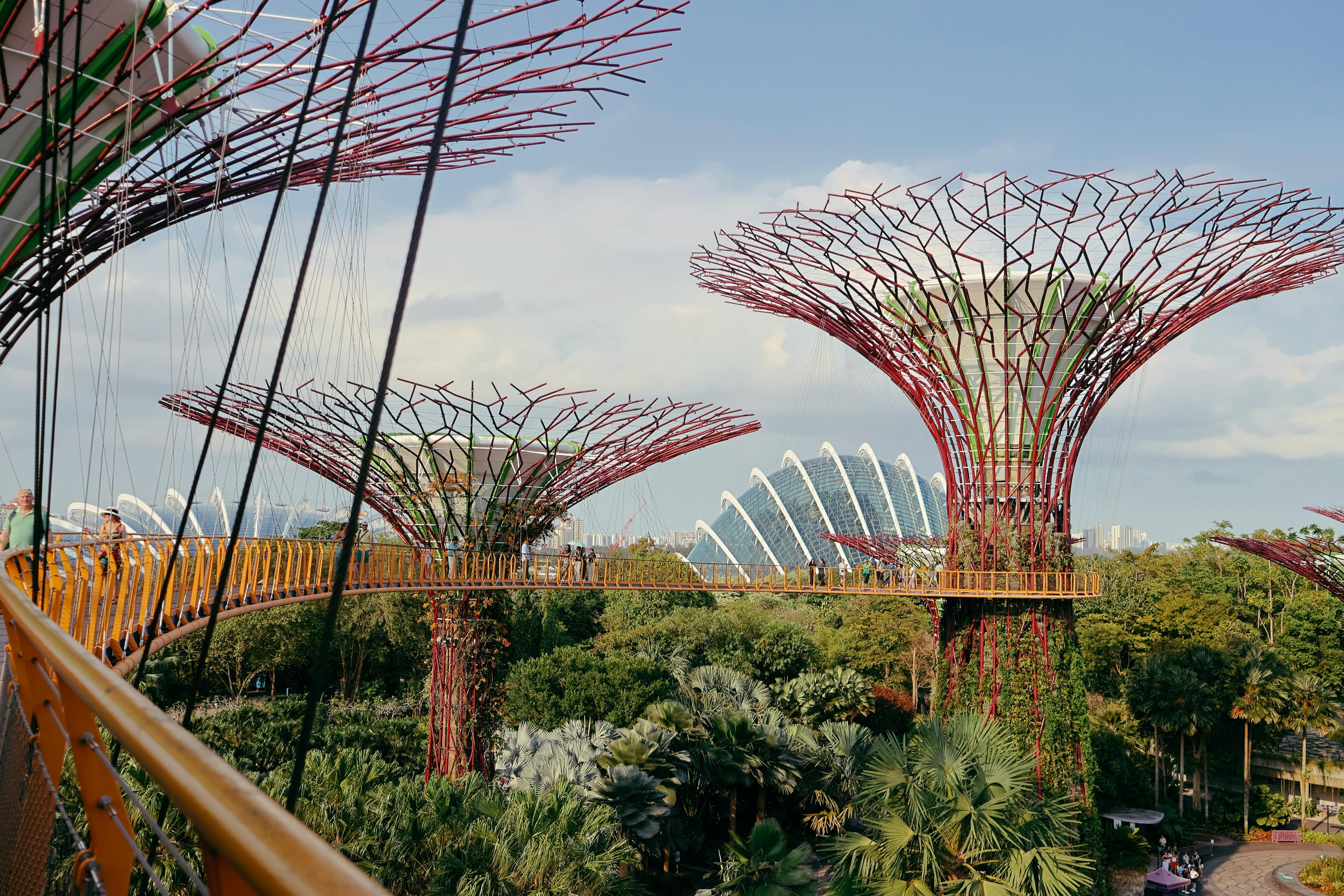 Garden of Bay