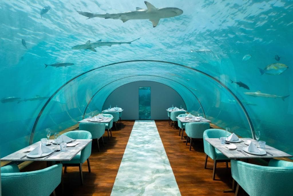 maldives