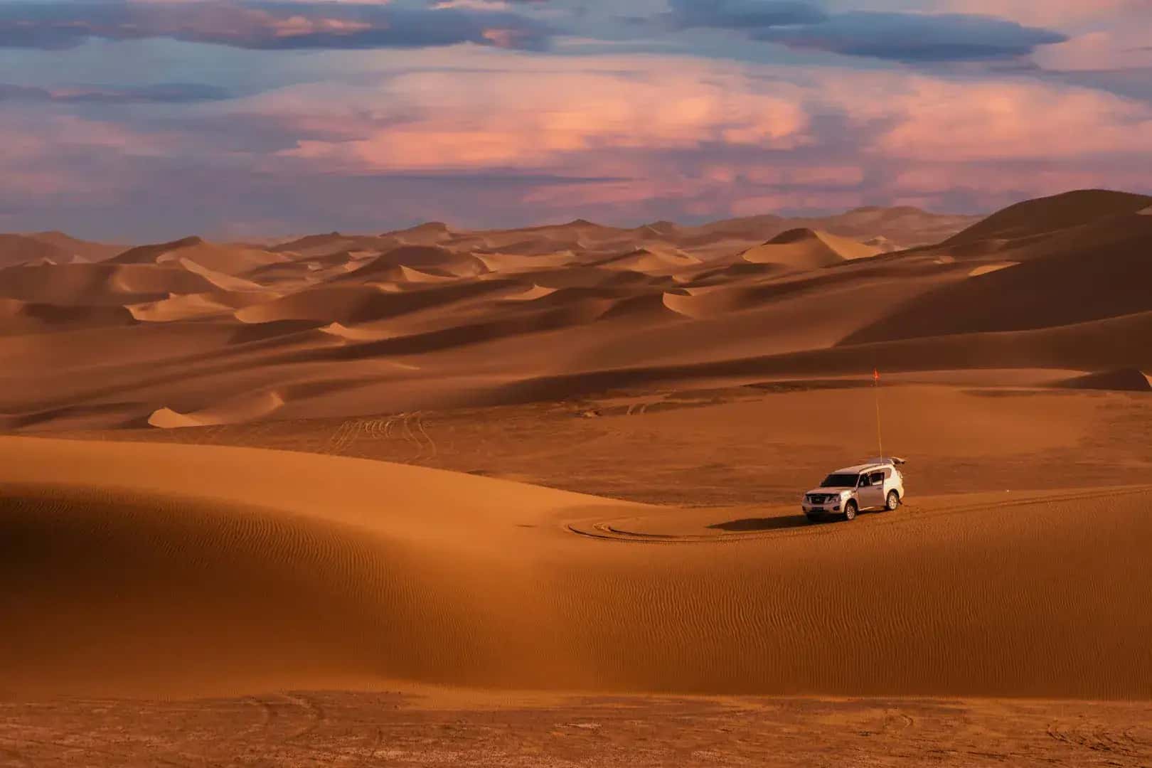 Desert Safari