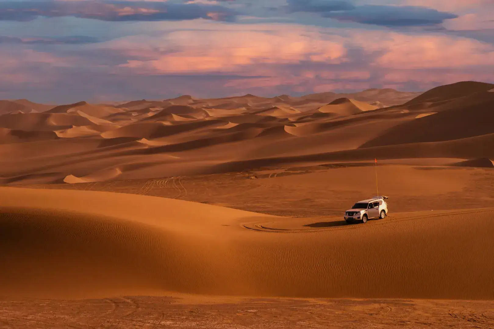 Desert Safari