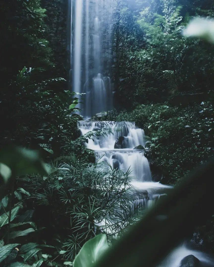Bali Nature